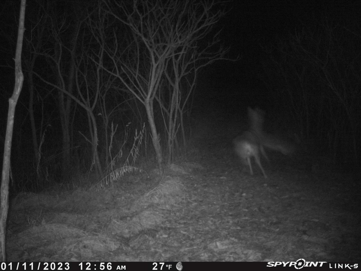 Matt Staser tweet media