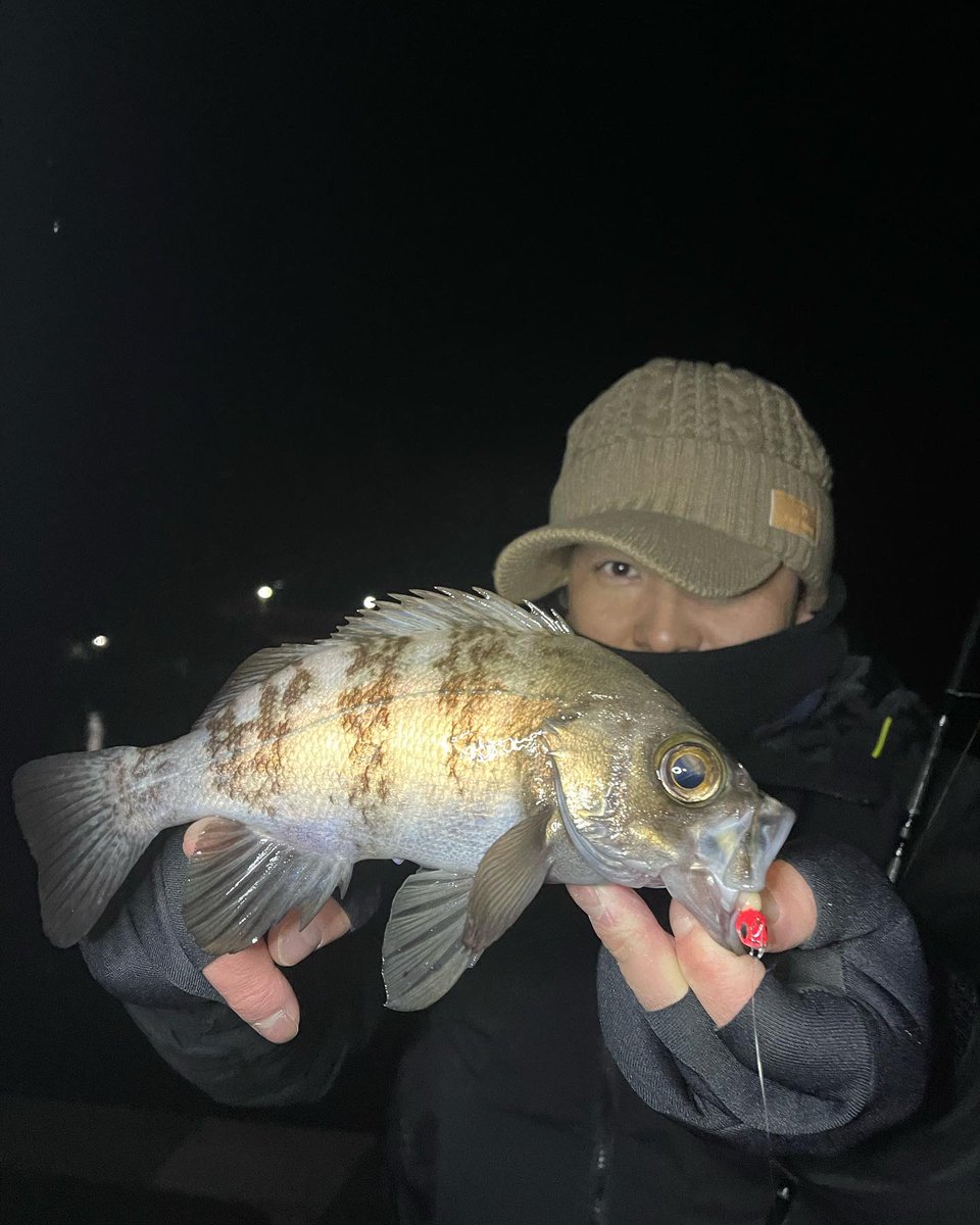 1785_hiro_'s tweet photo. 初釣りはメバルを仕留めました😎クロソイまじりで楽しめました🐟メバルの最高は26cmでした〜 https://t.co/TDyUIdtt00