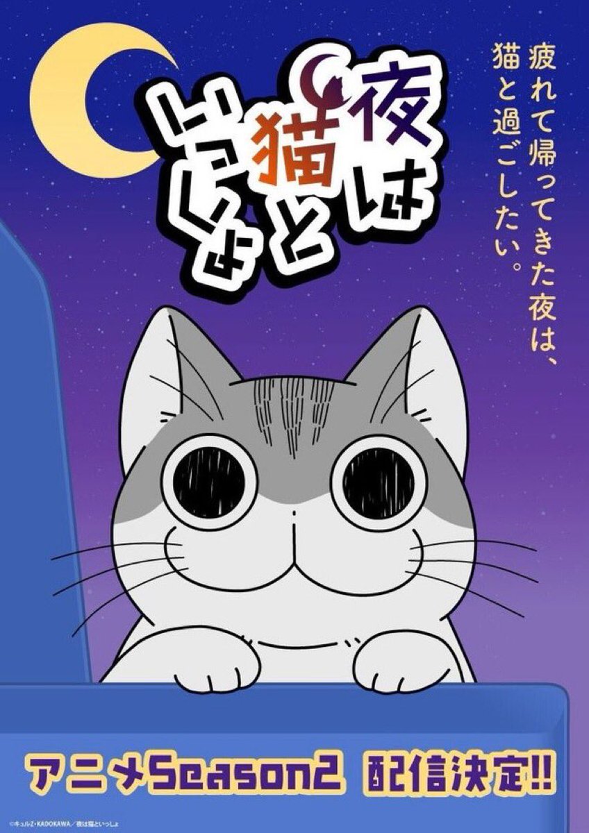 Nights with a Cat Season 2 announced!

- The anime is scheduled for 2023.

#nightwithacat #animetwt