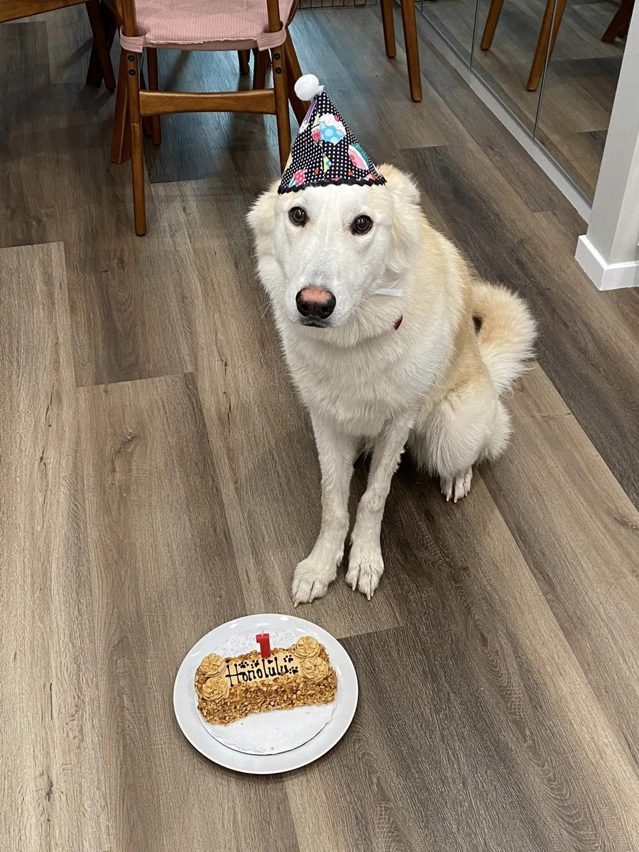 Saving Lives tweet media