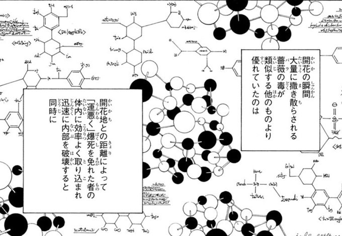 構造式っぽいイメージ図だしCじゃないかなあ 