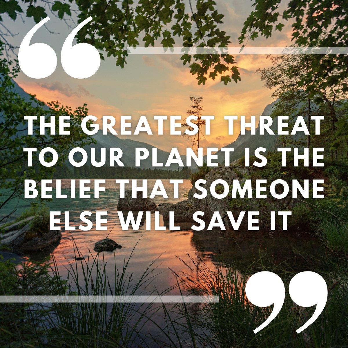 #conservation #environmentalnews #environmentalquote #itsuptoyou