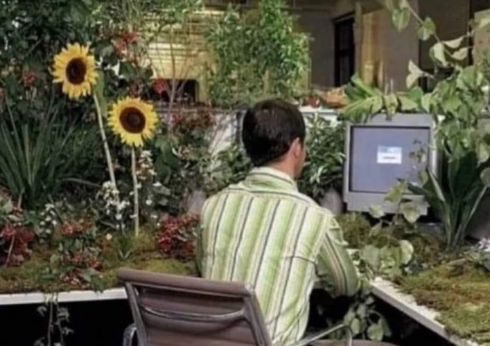 Guarromantico_'s tweet photo. *Tener plantas en el lugar de trabajo reduce el estrés y la tensión”

Yo: https://t.co/3zQGwmQ295