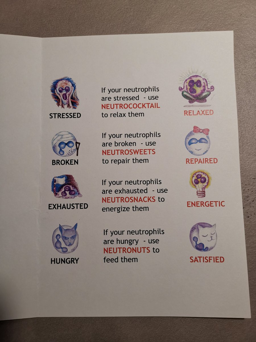 Lai Guan NG tweet media