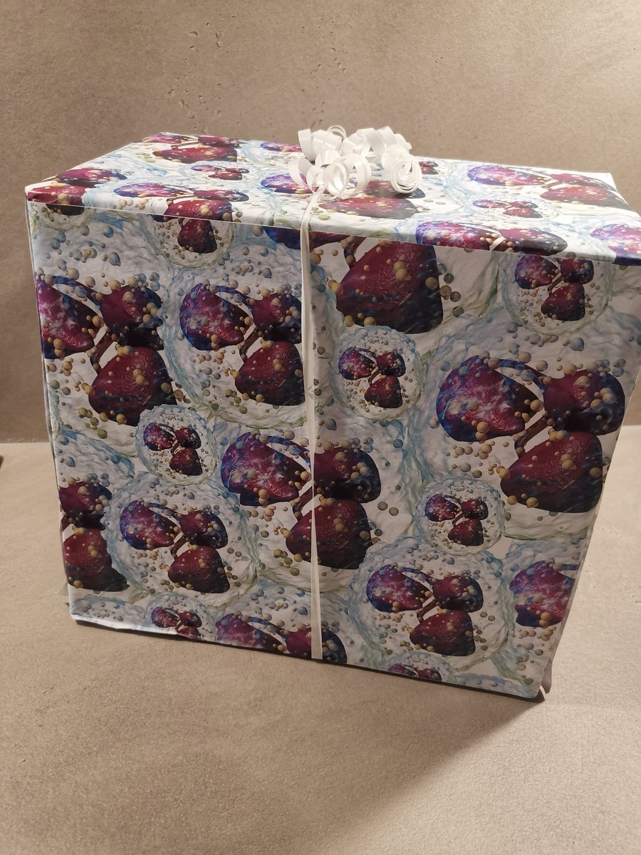 Lai Guan NG tweet media