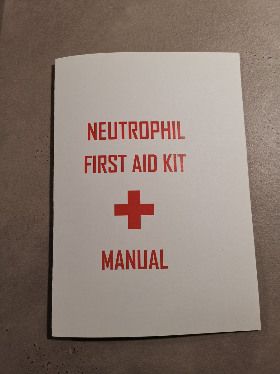 Lai Guan NG tweet media