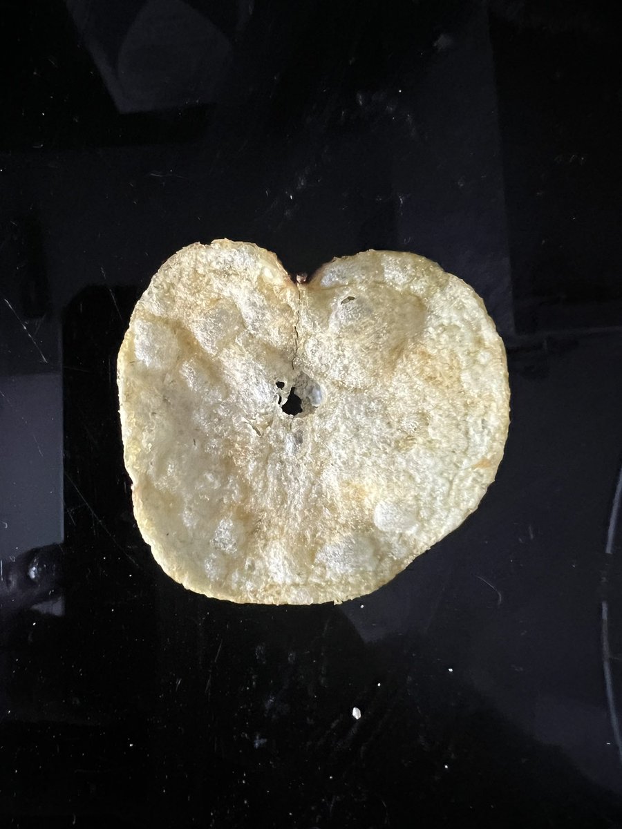 Tracy Rayner tweet media