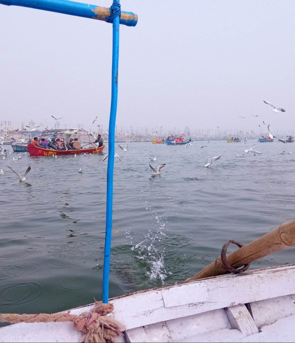 प्रवासी पक्षी( इंसान) दानों(सरवाइवल) का संघर्ष और सागर ( संसार )