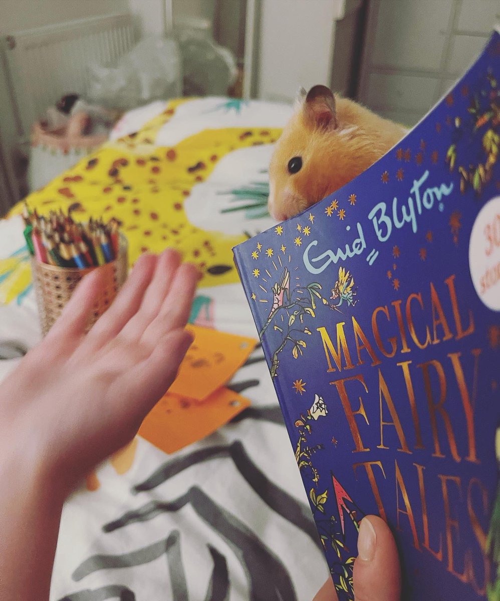 Eleanorvet's tweet photo. Bedtime with Butternut https://t.co/sjszwk2L6R