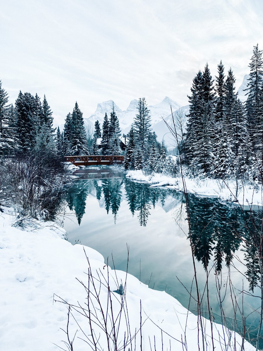 Spring Creek tweet media