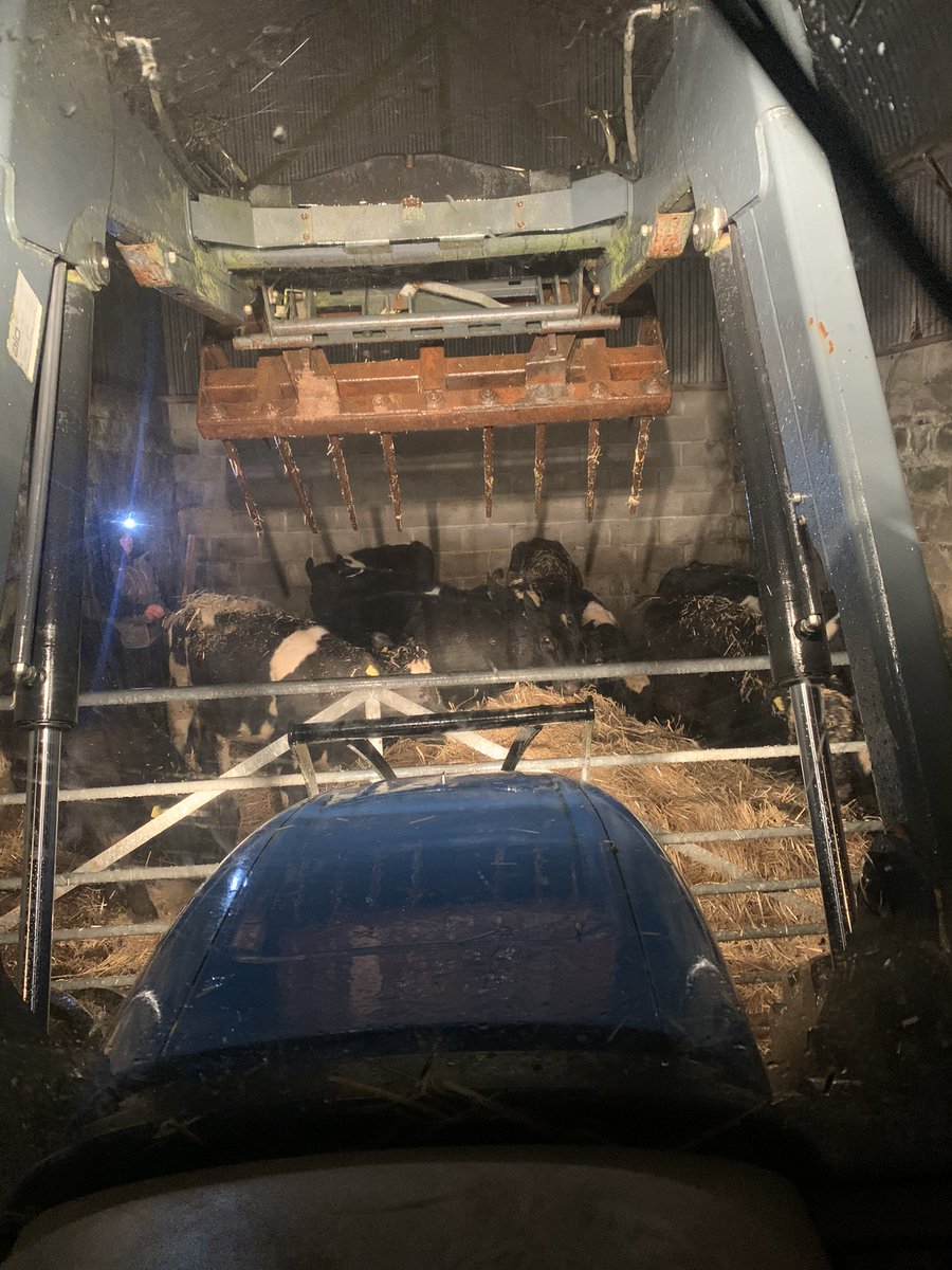 johnson_aled5's tweet image. Bed and breakfast for some B&amp;amp;B heifers the work doesn’t stop ….. neither will I 🔥💪🏼💪🏼
 #geton