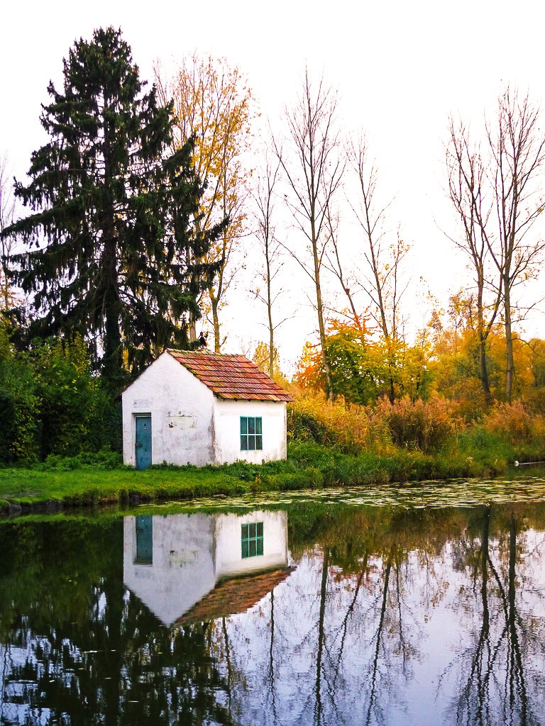 Bir yansıma fotoğrafı bırak.