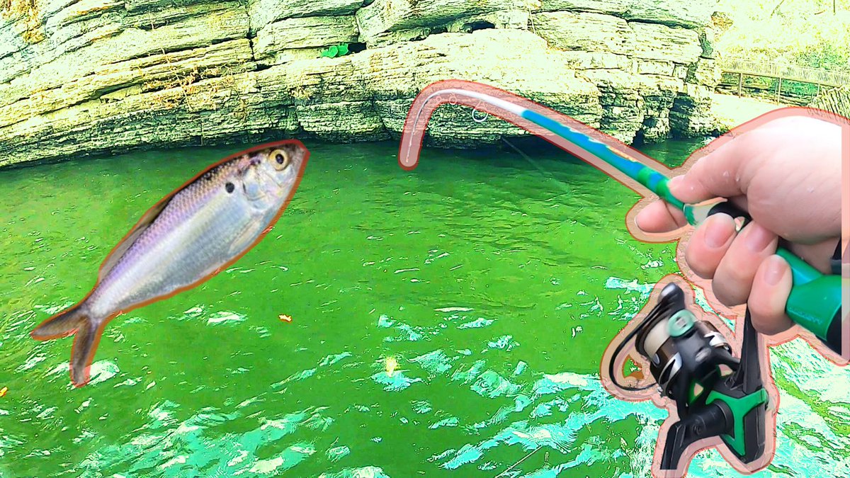 BreamBassBeyond's tweet photo. The new video is now up on the Youtube channel! Be sure to drop in and check it out! #fishing #bassfishing #riverfishing #fishingvideo #smallmouthbass #livebait #pickwick

https://t.co/VIEt5sldLI https://t.co/LAZsi4aqop