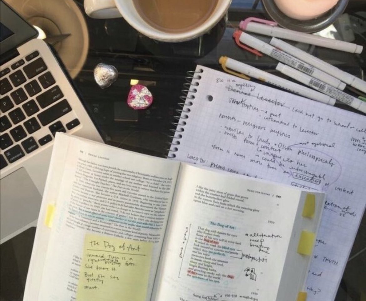 redsmoothiegirl's tweet image. 𝟐𝟎𝟐𝟑 𝐖𝐈𝐋𝐋 𝐁𝐄 𝐘𝐎𝐔𝐑 𝐘𝐄𝐀𝐑 𝐎𝐅 𝐀𝐂𝐀𝐃𝐄𝐌𝐈𝐂 𝐒𝐔𝐂𝐂𝐄𝐒𝐒

all assignments done weeks in advance, no last minute studying, exams are something you look forward to so you can show off your knowledge, you take pleasure in learning, you’re top of your class