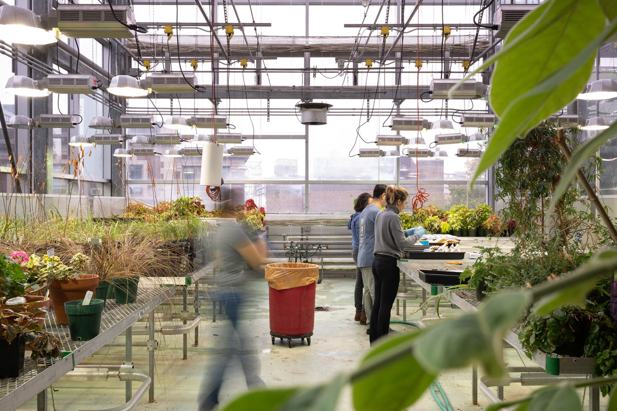 NationalASLA's tweet photo. Landscape architecture firm @OLIN investigates, “Can engineered soils include recycled glass rather than virgin sand to simultaneously reduce reliance on environmentally damaging materials and provide a sustainable outlet for a major waste stream?” https://t.co/PkmNnMYKSa https://t.co/LUgwbPKnlu