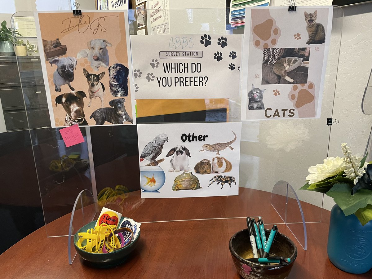 Come Back January Survey Station. Which do you prefer? <a href="/BCOEStory/">Butte County Office of Education</a>