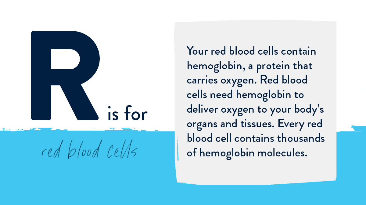 genetix_biotx's tweet photo. #ABCsOfGenetics — Did you know that red blood cells contain hemoglobin, which they need to deliver oxygen to your body’s organs and tissues?
Learn more about gene therapy and its related terms: https://t.co/swP0JBS9sZ https://t.co/DELw3IoR1a