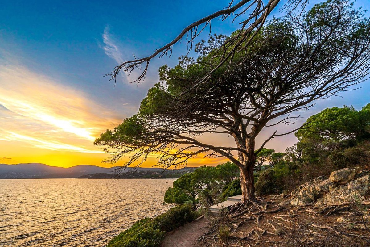 La_Croix_Valmer's tweet photo. Des moments de rêve au coucher de soleil le long du littoral 🌊
📷 - klausbinderphotos
#LaCroixValmer #pnpc83 #cotedazurfrance #visitvar #tourismepaca #golfesttropez https://t.co/9wskMvdRer