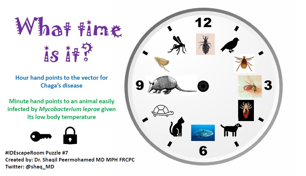 Shaqil Peermohamed MD MPH tweet media