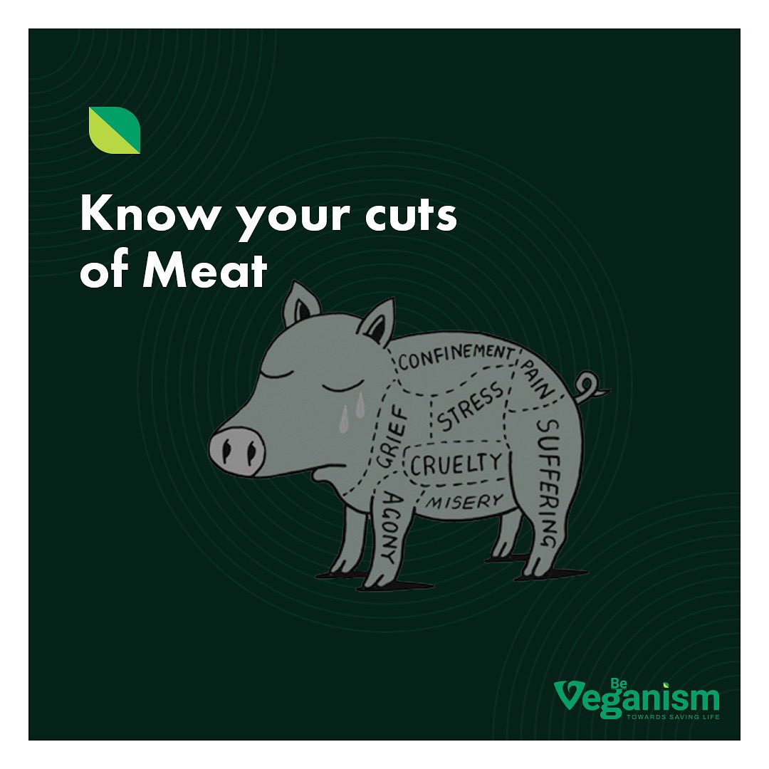 beveganism's tweet photo. Stop eating meat- those who commit violence towards animals can never achieve salvation.
.
.
#beveganism #veganrevolution #beyondmeat #beyondmeatburger #govegan #govegans #veganuary #veganfacts #plantbasedburger #veganlife #veganactivism #veganactivist #veganforplanet https://t.co/CVOyTpoSLZ