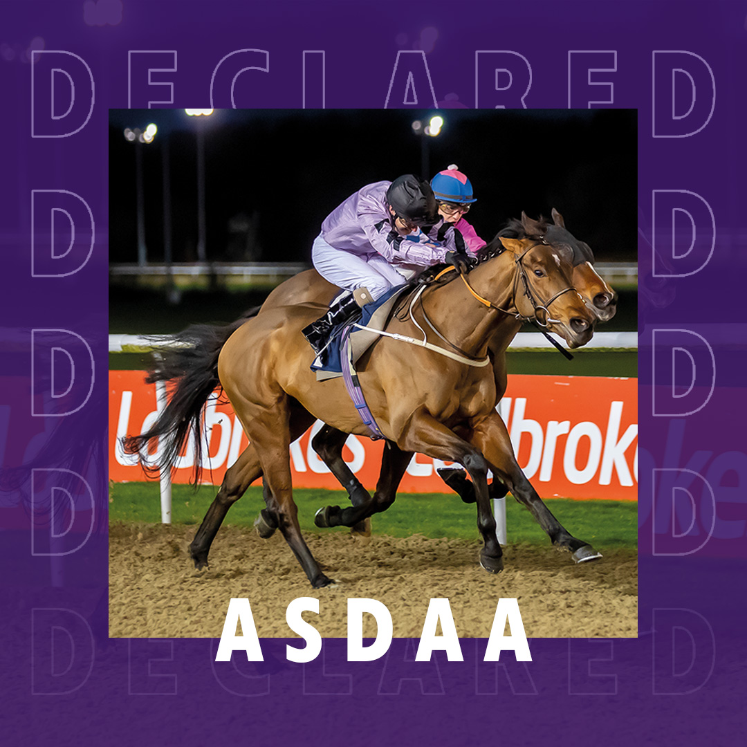 ownersgroupuk's tweet photo. Asdaa runs again today at @ChelmsfordCRC in the 7.30 under jockey Jason Hart. Asdaa has had an impressive start to 2023 for trainer Charlie Johnston and all of his owners 🤩 #OwnersGroup #Asdaa https://t.co/HBuALToB64
