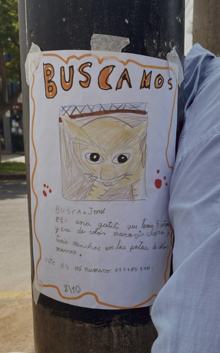 Hola! Vi esto por el Wong de Benavides en Miraflores 🥺 Compartamos, un niño(a) extraña a su gatita 💔