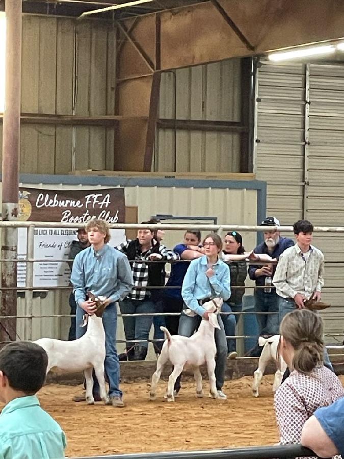 Loren E placed 4th in her class of heavy weight goats. Great job!!