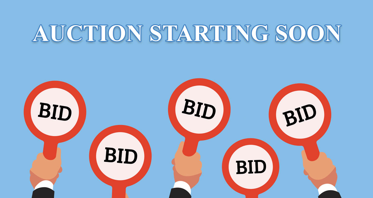webstersauction's tweet photo. Get ready to bid on some amazing deals! Our next online auction is coming up at 10:30am and you won't want to miss it. #auction #deals #onlinebidding

https://t.co/XCV0eLreu0 https://t.co/YF5mrrYVgW
