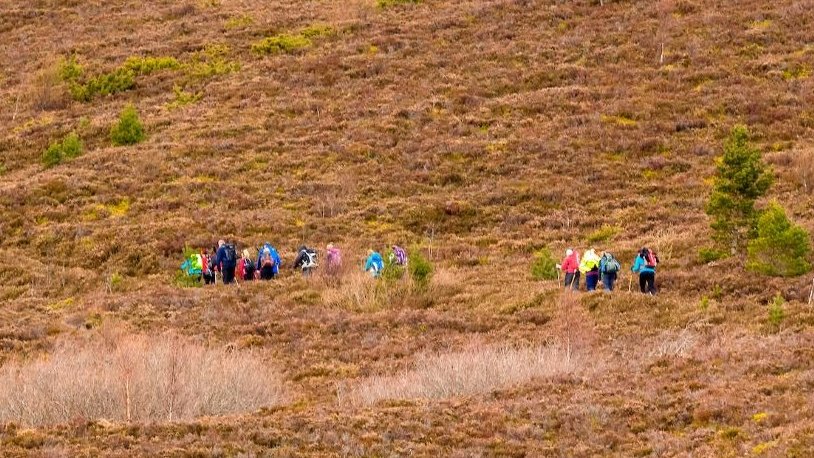 ramblersscot's tweet photo. 📢 Calling all @ramblersscot members...

We'd love you to join us at The Gathering, a volunteer-led festival packed full of walks &amp; activities in the @cairngormsnews from 28 April to 1 May.

Spaces are limited, so book your spot soon: https://t.co/q0EnJfLgOS https://t.co/39hcbhqJRK