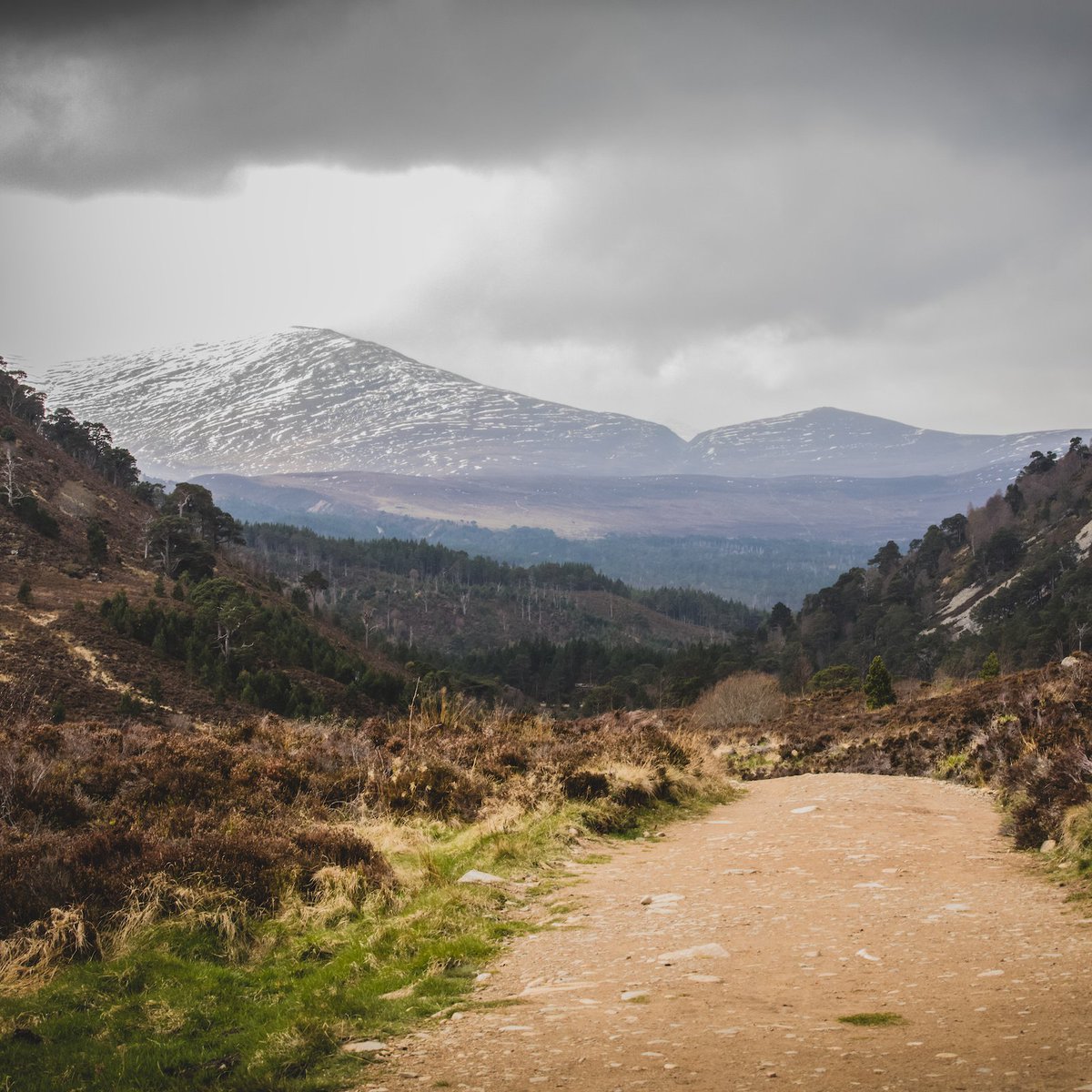 ramblersscot's tweet photo. 📢 Calling all @ramblersscot members...

We'd love you to join us at The Gathering, a volunteer-led festival packed full of walks &amp; activities in the @cairngormsnews from 28 April to 1 May.

Spaces are limited, so book your spot soon: https://t.co/q0EnJfLgOS https://t.co/39hcbhqJRK