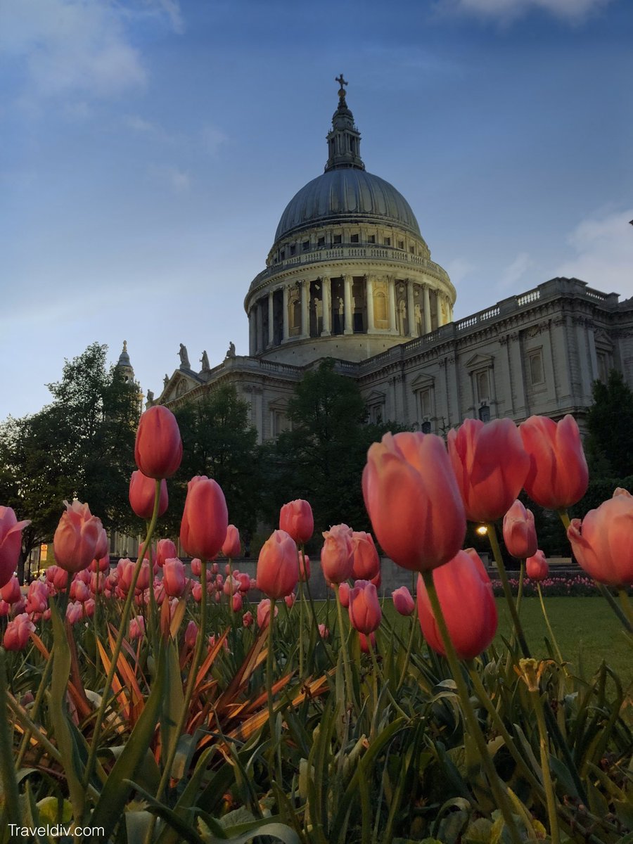 وصلت الى لندن بالتأشيرة الالكترونية و هذه ابرز الملاحظات:
⁃اجراءات الدخول سهلة
-تم سؤالي عن مدة الاقامة و الهدف من الرحلة و الفندق 
⁃يوجد زحام شديد في مطار هيثرو
⁃يفضل طباعة التأشيرة قبل السفر
وهنا شرح الحصول على التأشيرة البريطانية الالكترونية
👇🏼
traveldiv.com/uk-electronic-…
👆🏼