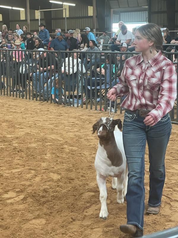 Maci K with her 7th place middle heavy weight goat.