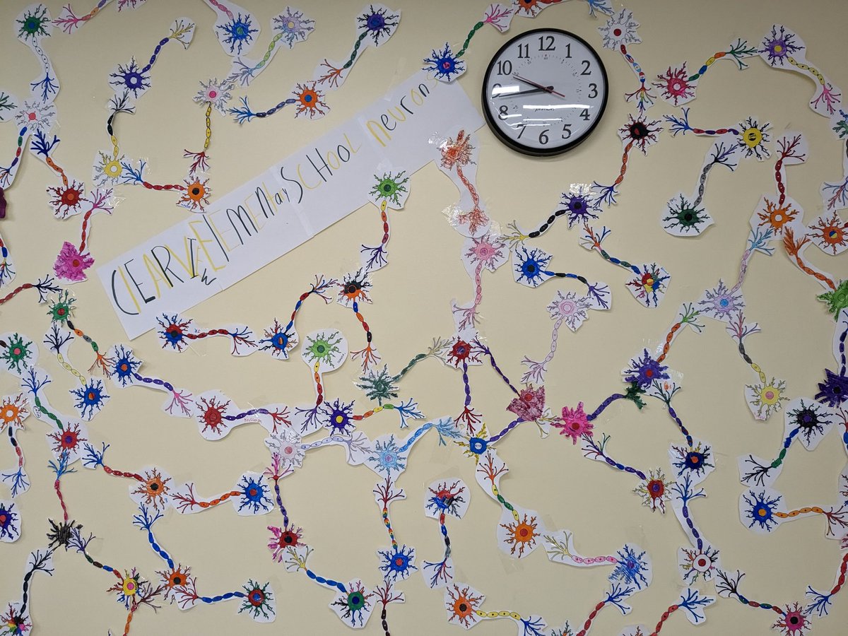 MrNewboldEdu's tweet image. Illustrating what learning "physically" looks like and the importance of perseverance. @Clearview_ES. #elemscience #elementary #scienceedu #scienceeducation