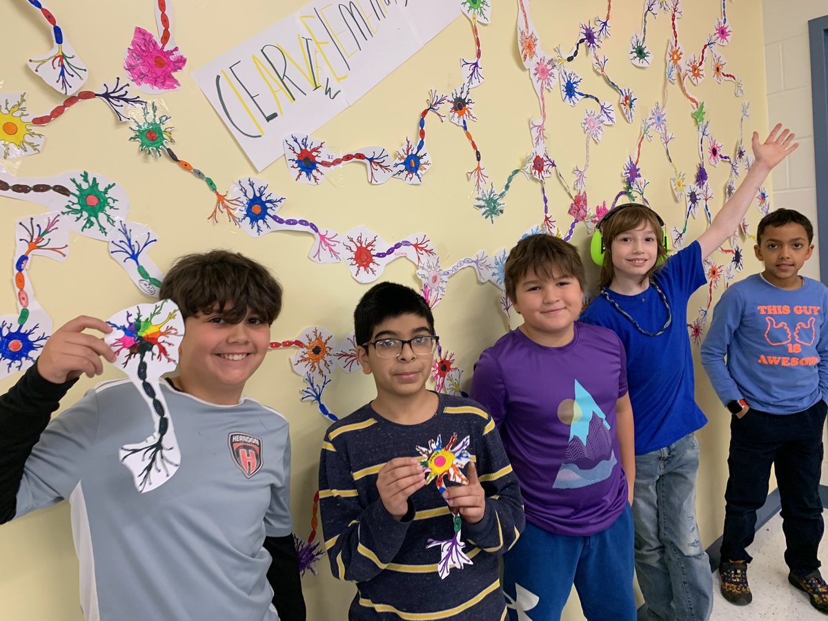 MrNewboldEdu's tweet image. Illustrating what learning "physically" looks like and the importance of perseverance. @Clearview_ES. #elemscience #elementary #scienceedu #scienceeducation