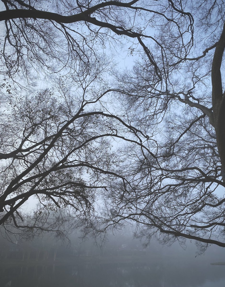 blossom_melonn's tweet photo. #coc365 Day 11 | Surface 

I can see surface of quietness and joy right here 😶‍🌫️😌 https://t.co/uboqwQ4TUR