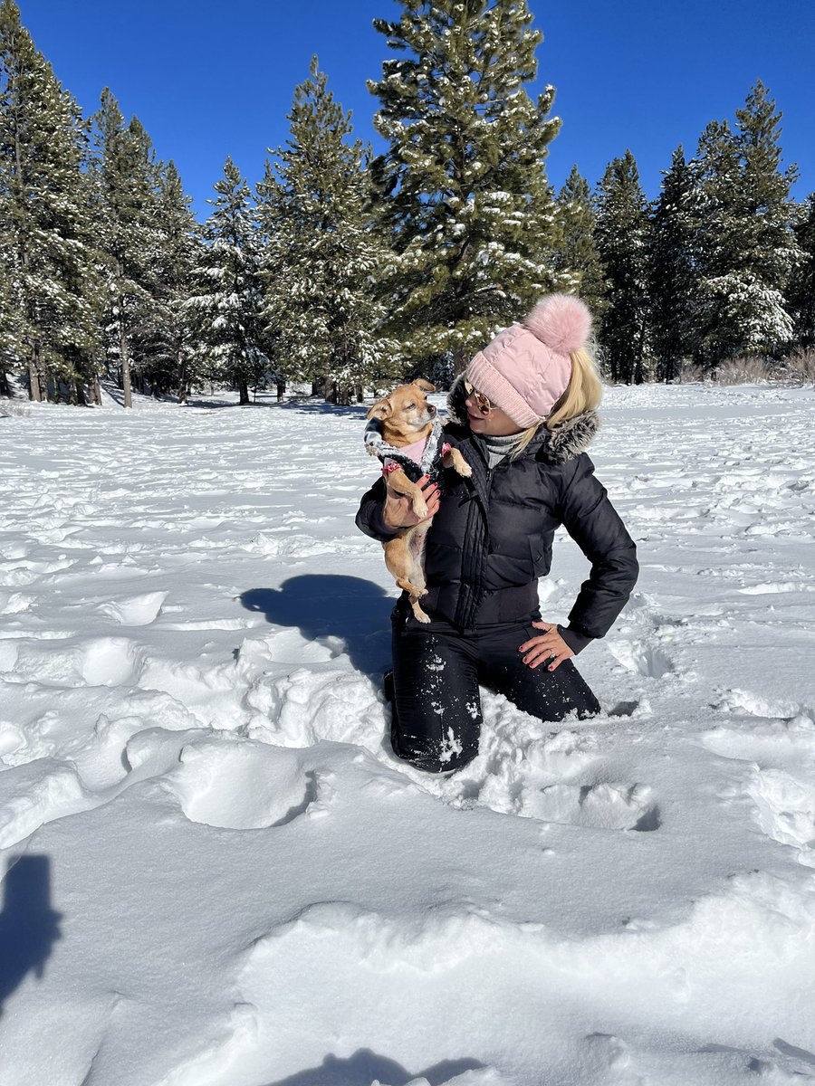 Con #LaBrandy el pasado miércoles en #MtCharleston ❄️☃️🗻🐶