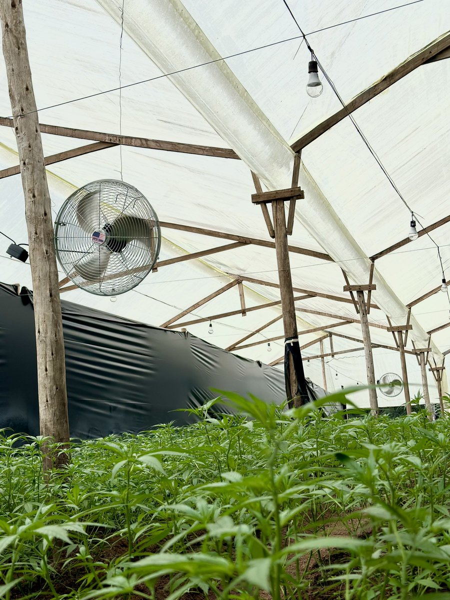 greenleafcol tweet picture