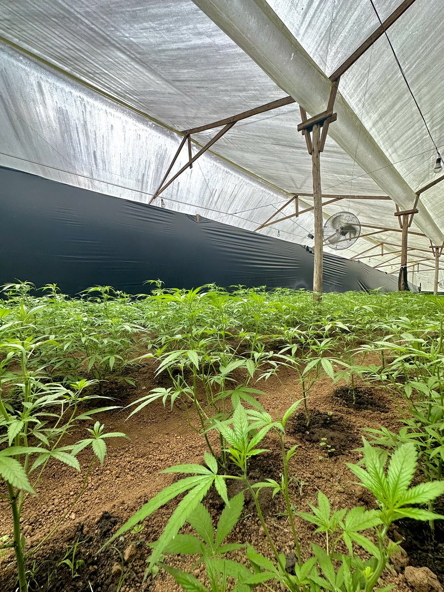 greenleafcol tweet picture