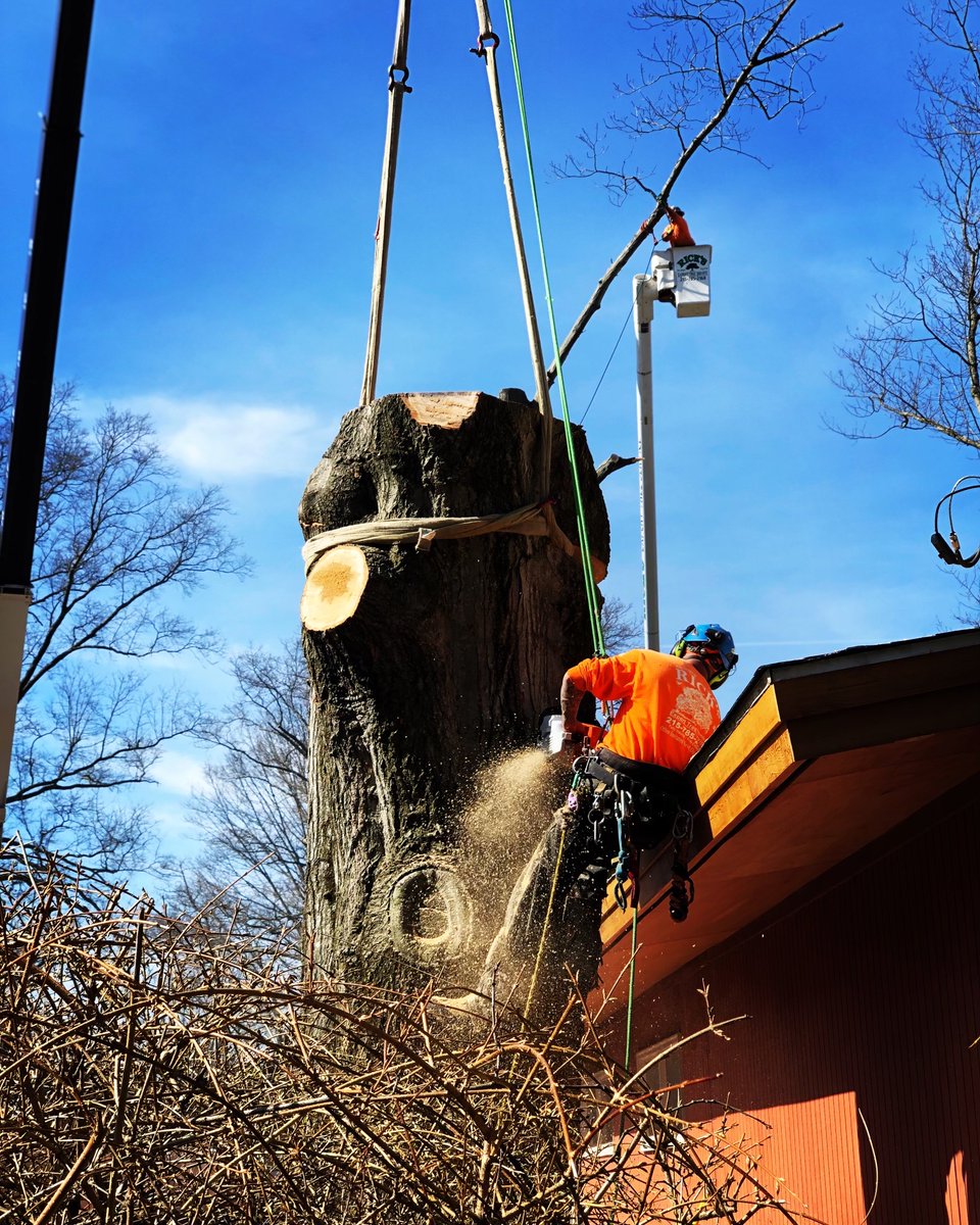 RicksExpertTree's tweet photo. WINTER DISCOUNTS in full effect! This is the best time to remove your unwanted, dead or dangerous trees &amp; limbs before March roles in like a Lion with her high winds &amp; heavy rains, or to get a head start on preparing your property for fun in the sun this spring &amp; summer. https://t.co/q7FvjlLrSo