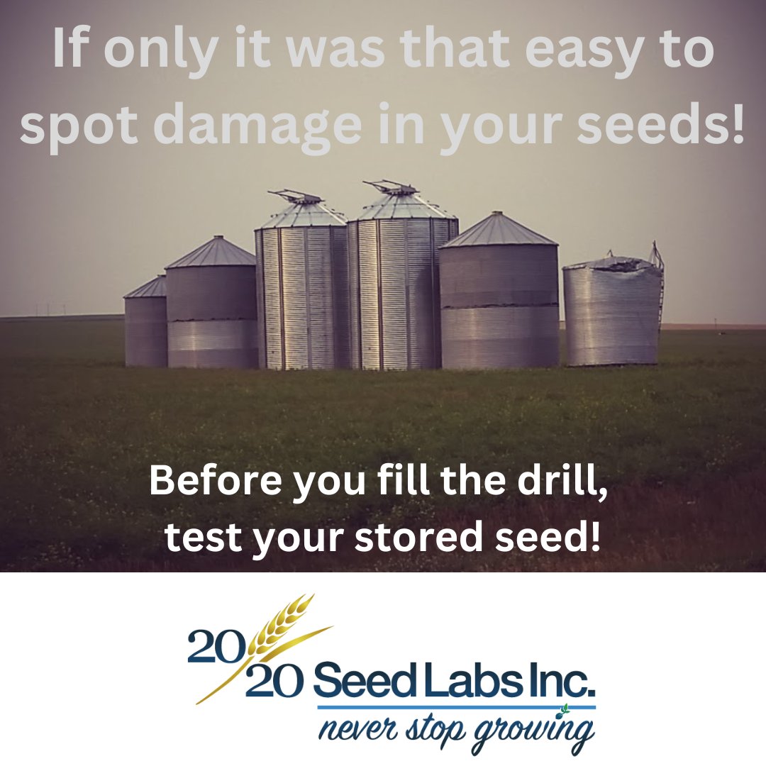 2020SeedLabs's tweet photo. Storage conditions can impact your seeds, and you’ll want to know how they are doing before you get into the field!

20/20 Seed Labs has a highly trained, accredited team ready to test your seed before you start #plant23

#knowwhatyougrow #neverstopgrowing #2020seedlabs #plant23 https://t.co/OutcAYzpkZ