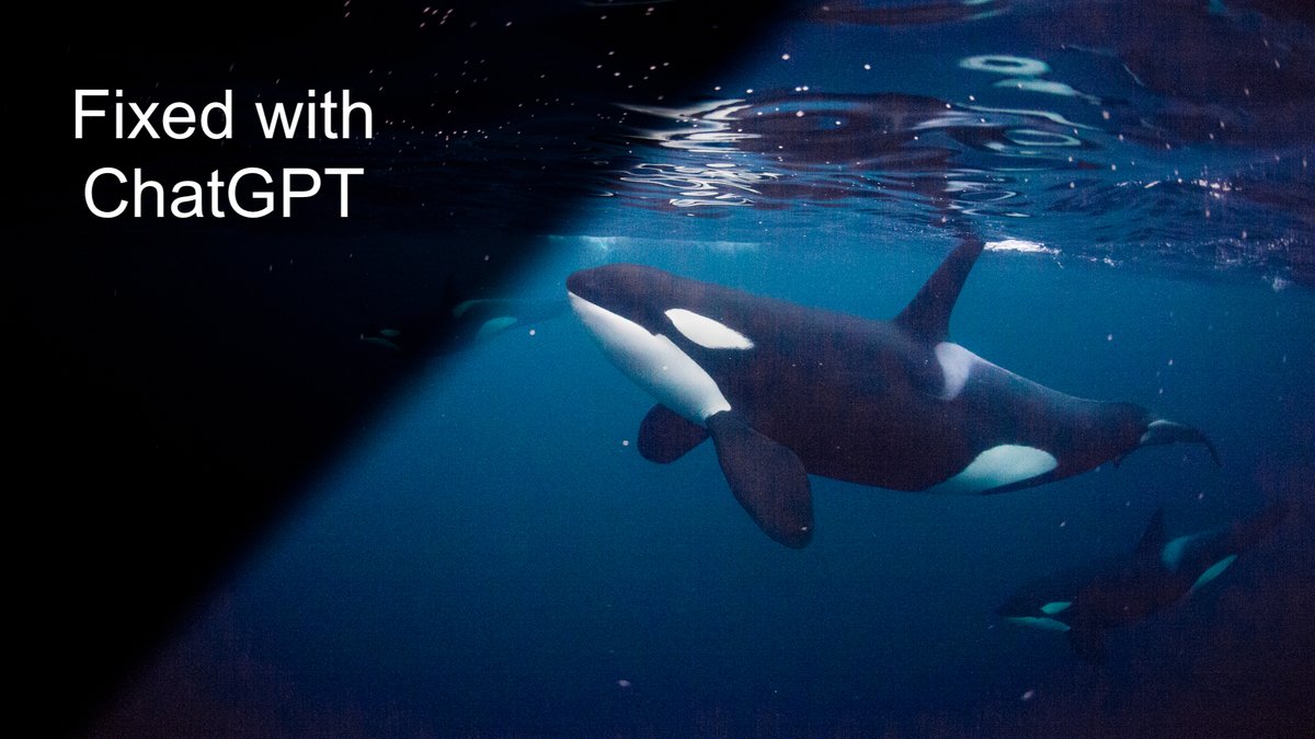 Quick #ChatGPT thread that is reminiscent of cryo-EM processing. A few years ago I ended up with underexposed underwater footage because I had my video settings all wrong. Instead of 1080p 30fps, I had it set it to 2.7k 120fps. I asked ChatGPT for help. (1/2)
