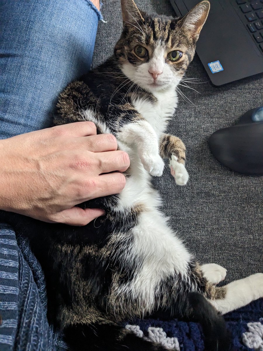 Coworker incredulous at being called a distraction.