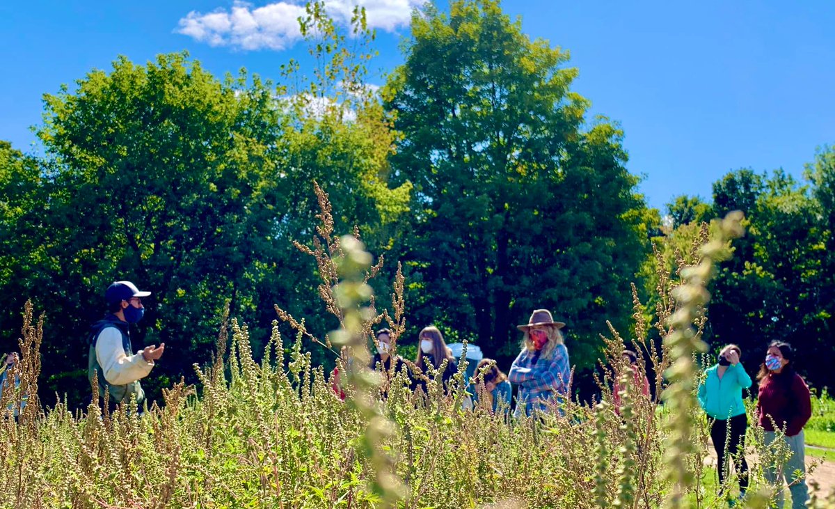Salt City Harvest Farm had to find a way to keep the organization running smoothly while planting the seeds for future growth and sustainability – all with a shoestring budget and minimal staff.

How did they achieve such a turnaround?

giffordfoundation.org/planting-the-s…