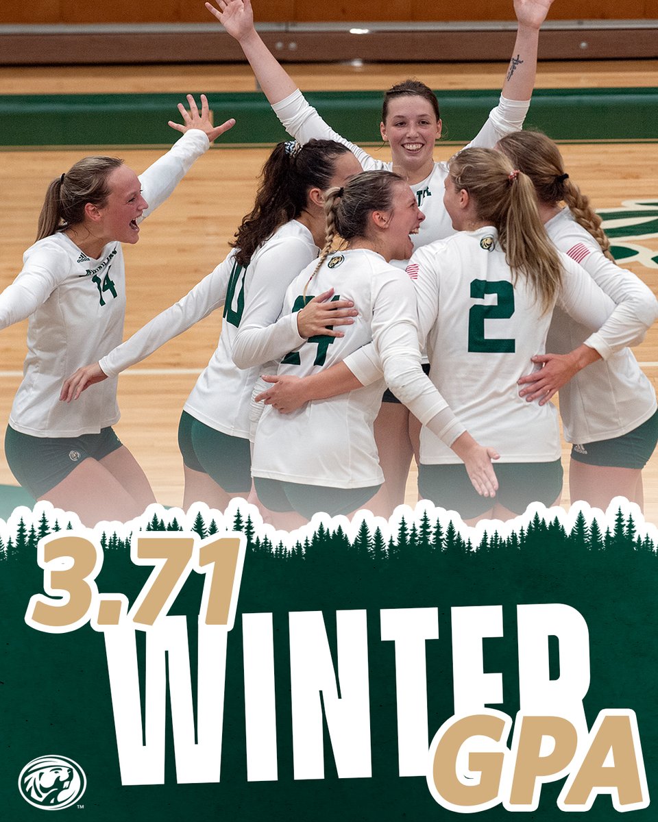 Bemidji State Volleyball tweet media