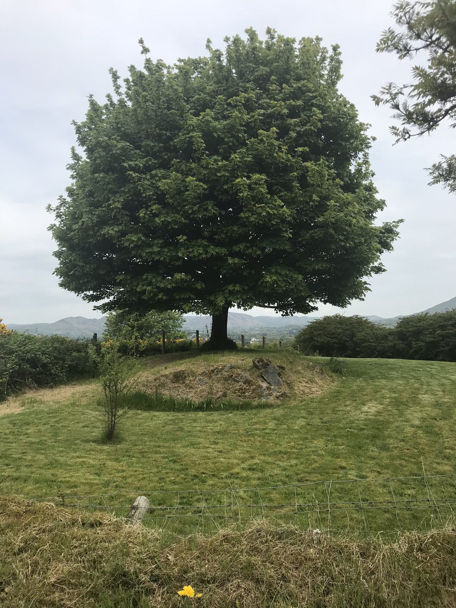 claire_flynn's tweet photo. Highlighting some of the best #heritagetreasures from the best part of the best county in Ireland #southarmagh #mullaghbawn #forkill @HeritageFundNI https://t.co/VE6hIdGNmm