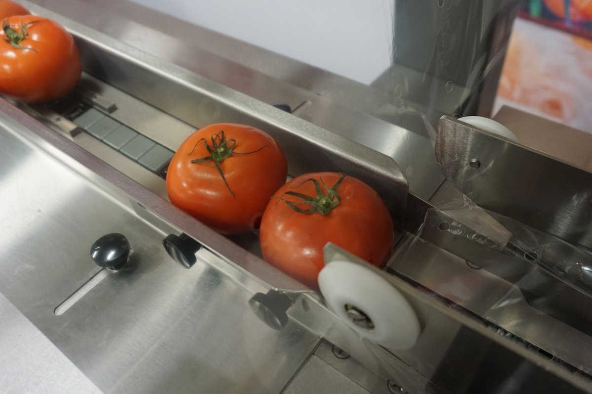 ameri_pak's tweet photo. Did you know our conveyors are food contact approved and you can easily upgrade your Flow Wrapper to include a USDA-compliant infeed conveyor as well? 
#FoodSafe #FoodPackaging https://t.co/LSmxN4FgGk