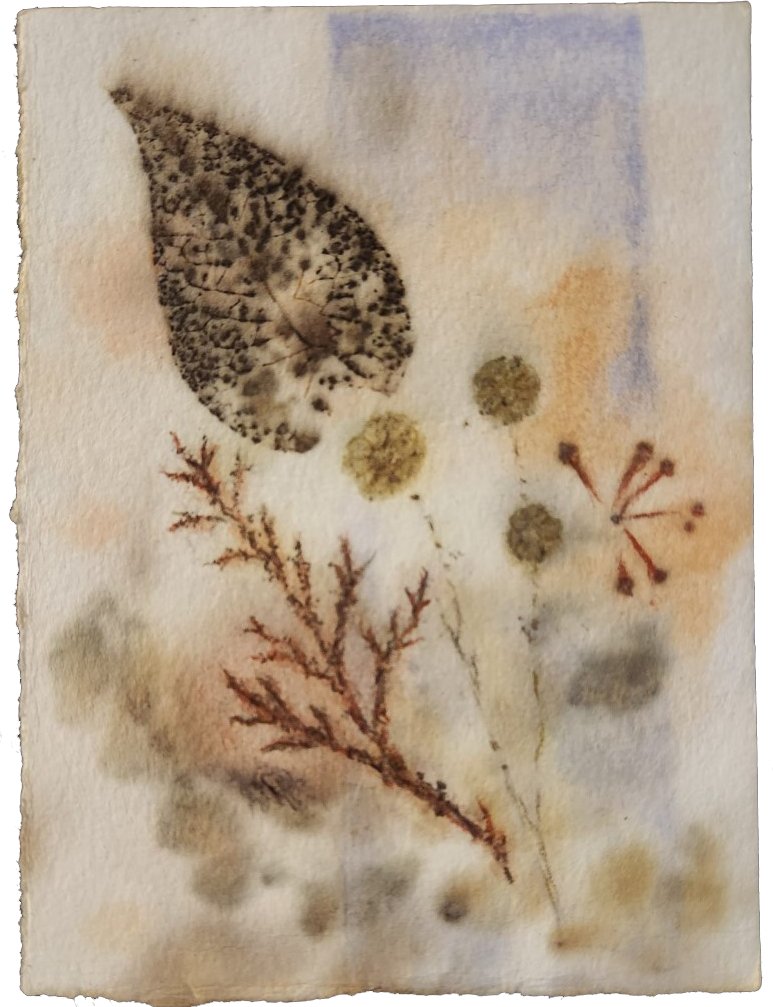 The King William Association presents an art exhibit featuring works by Denise McCoy. The exhibit opening is January 12 from 6:30 – 8 pm at 122 Madison Street. The event is free and open to the public of all ages. The exhibit runs through March 2.