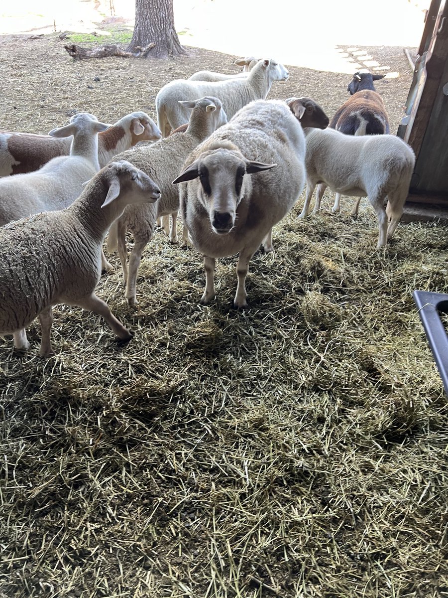 karen garrett hunnicutt on Twitter "A break from heavy topics my