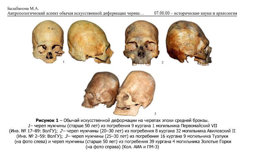 Interesting that some Catacomb skulls had artificial skull deformation. Evidence shows that this group of IE is associated with the spread of Armenian, Greek and most likely also Albanian languages.