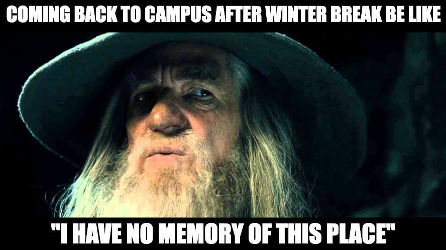 CNMsuncats's tweet image. Here is a bonus meme for the first week of the Spring 2023 term!
#Collegememe #CNM #highereducation #communitycollege #firstdayofcollege